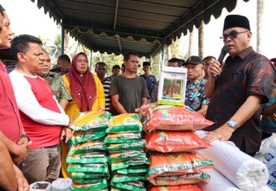 Dua Poktan Desa Menyabar Dapat Bantuan Bibit Dari Distan Madina